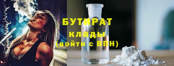 гашик Алексин
