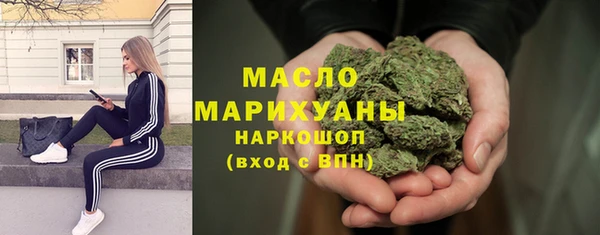 гашик Алексин