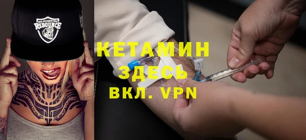 гашик Алексин