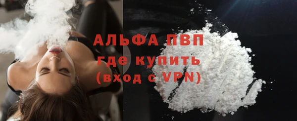 гашик Алексин