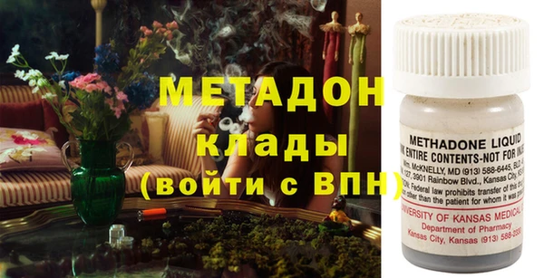 гашик Алексин