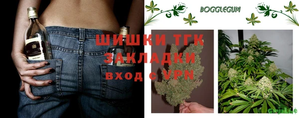 гашик Алексин