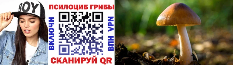 где купить наркоту  mega ссылки  Галлюциногенные грибы GOLDEN TEACHER  Алушта 